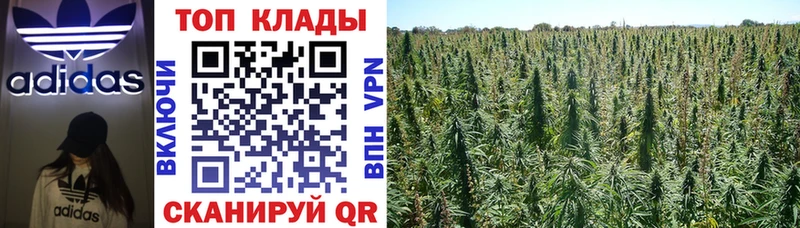 Сколько стоит Рыльск ГАШ  A-PVP  Меф мяу мяу  Марихуана  Cocaine 